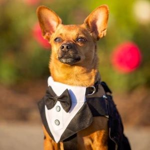 Meet your Posher, John